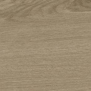 SIA OLIVA 23x120